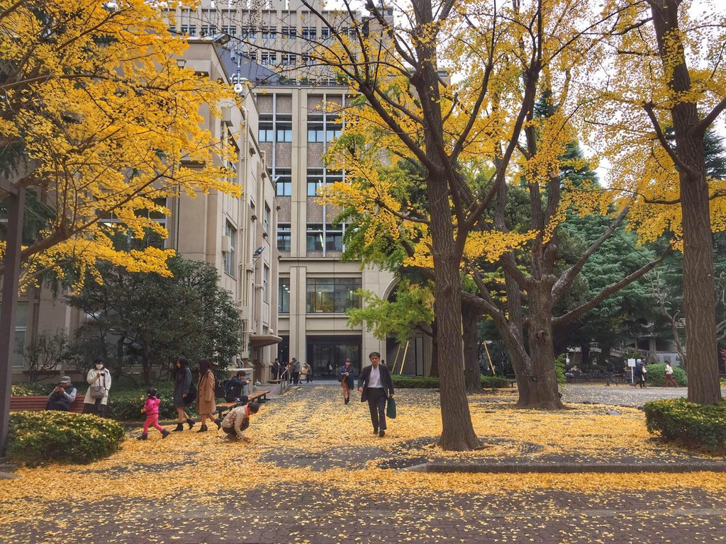 青山学院大学