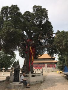 【携程攻略】容城晾马台明月禅寺图片,容城晾马台明月