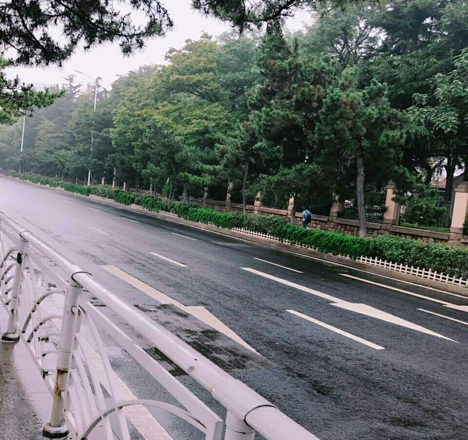 雨后的道路
