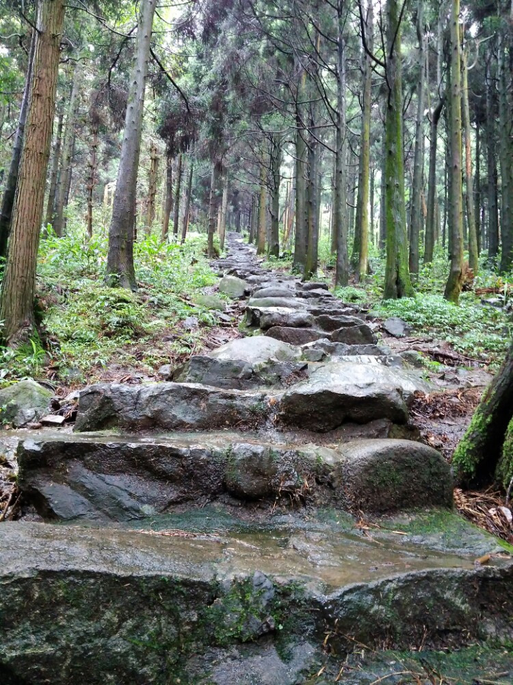 贵港平天山观云雨雾绕.