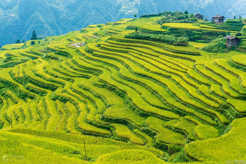 加榜梯田