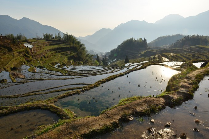 云和梯田景区