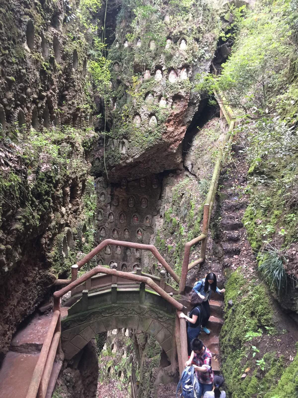 成都 青城后山:溪瀑流泉闹 花草苔木清