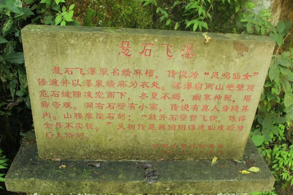 上虞中华孝德园,龙山公园,凤鸣山景区,杭州湾海上花田之游