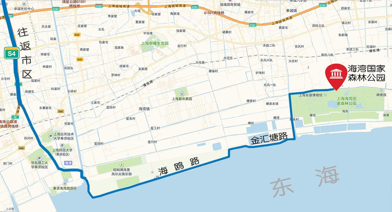 上海周末自驾游,奉贤海湾公园赏花之旅!