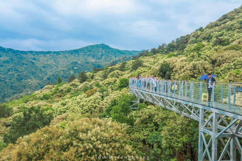 挑战高空玻璃栈道 乘坐直梯到达山顶,一览众山小,俯瞰芸芸众生,露天