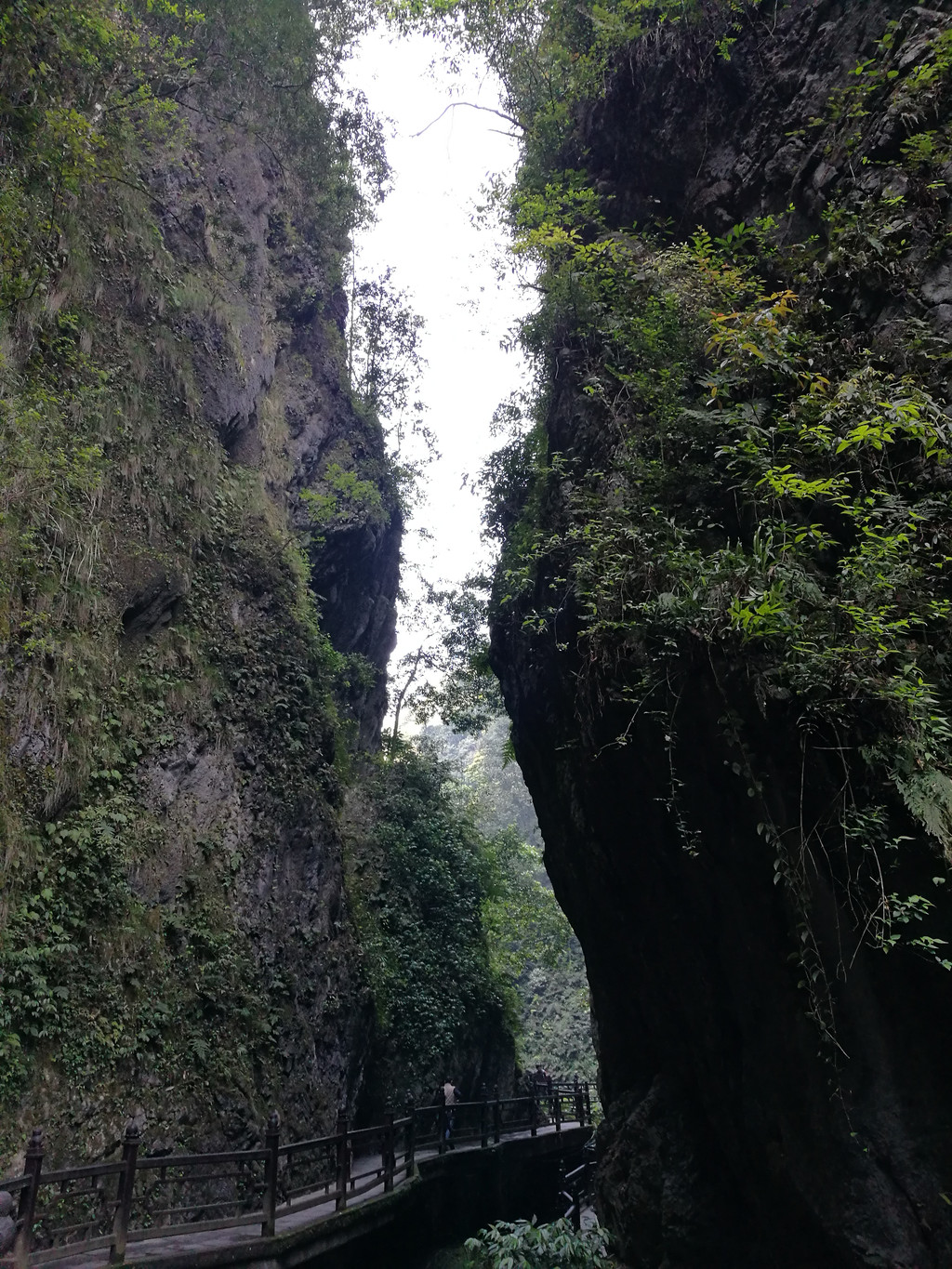 蜀江水碧峨山青,佛圣祥瑞云雾擎——乐山,峨眉山三日行