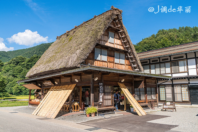 【日本】升龙道:高山,白川乡,金泽,松本畅游巴士攻略
