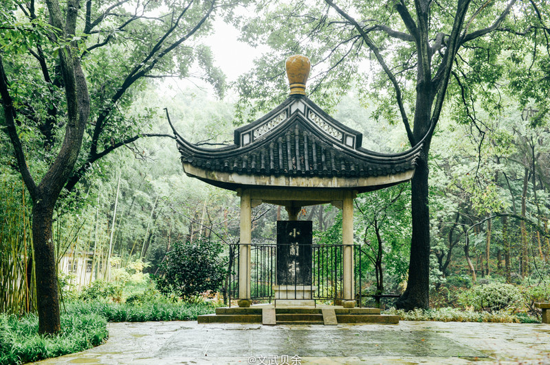 㻦ĩ淨 | ̫ͷ - μǹ