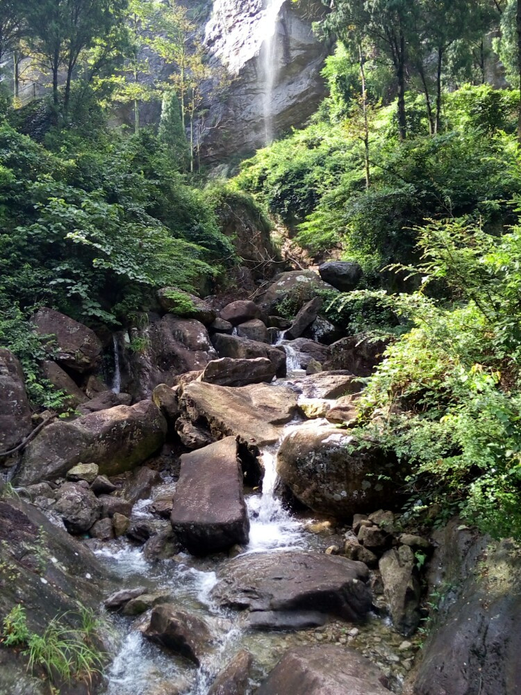 雁荡山森林公园净名景区