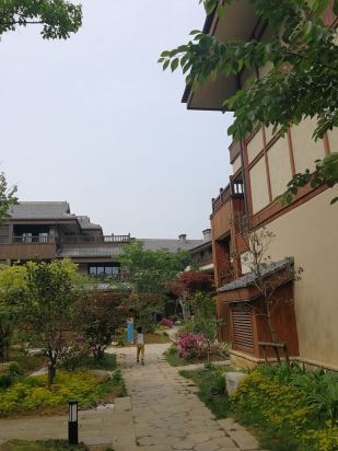 ɽС黨黨ջ