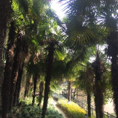 上海佘山森林宾馆预订价格,联系电话\位置地址