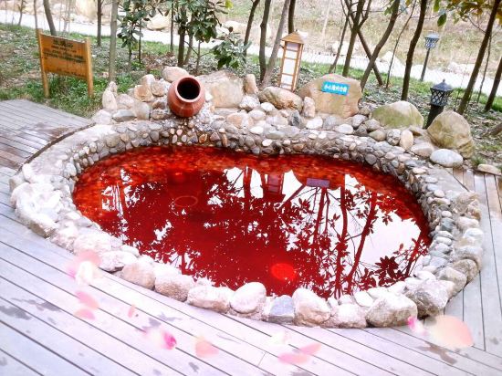 信阳鸡公山依云森林温泉酒店