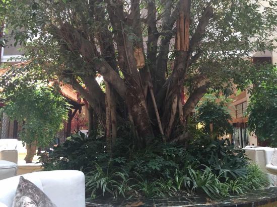 成都世外桃源酒店怎么样\好不好\服务点评【携