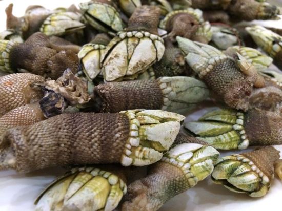 惠州黄金海岸.海纳酒店预订价格,联系电话\位置