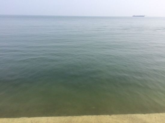 ɳƵ(ݵ)