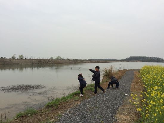 武汉梁子湖龙湾度假村预订价格,联系电话\位置地址