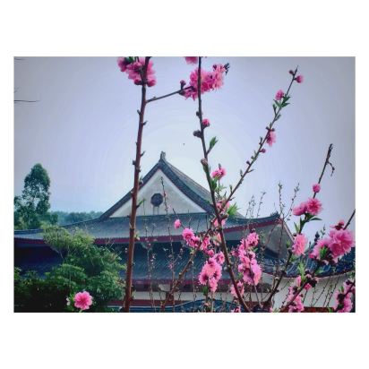 潮州砚峰山居酒店预订价格,联系电话\位置地址