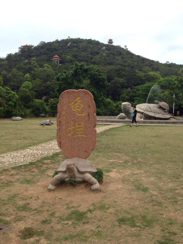 返程路线选择穿城而过来到县城背面的第八站:黄花山森林公园的"龟山"