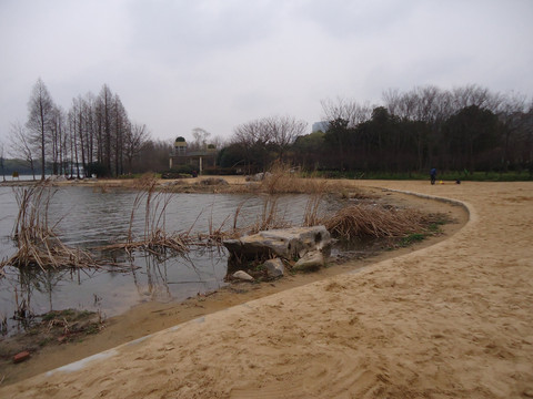 随手拍之世纪公园人工沙滩