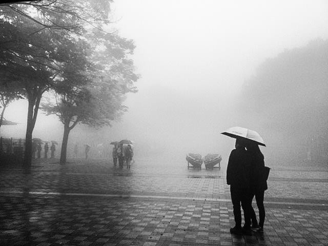 在雨中漫步_雨中漫步图片_雨中漫步