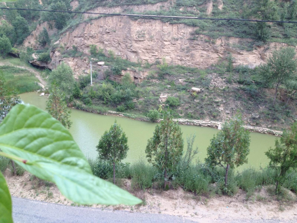 西沟是陕北黄土高原丘陵沟壑区生态环境治理的一面旗帜,全国农业旅游