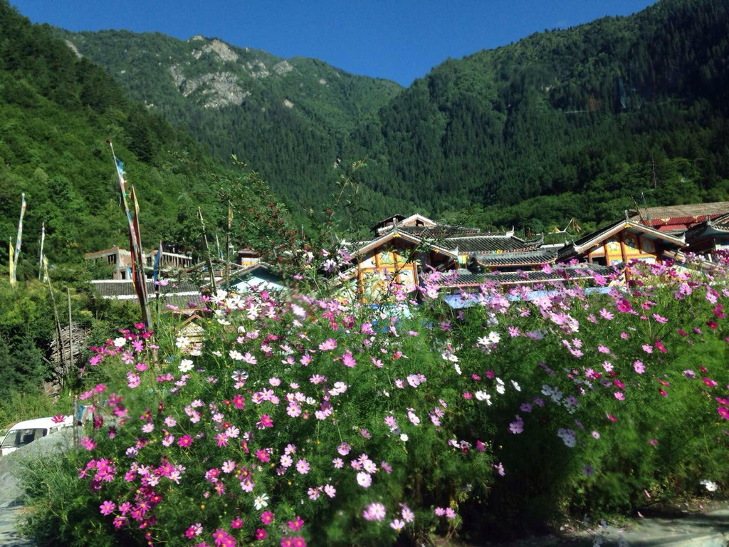 则查洼沟