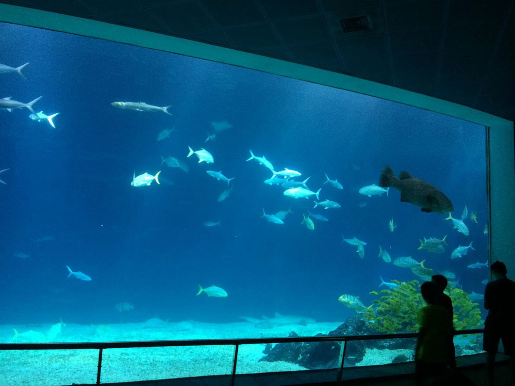 台湾海洋生物博物馆