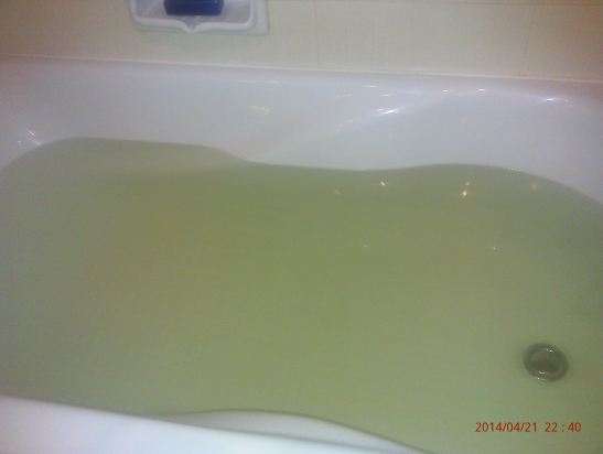 长春花园酒店用户评价,共163条