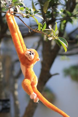 丽江云龙公馆精品客栈怎么样\好不好\服务点评