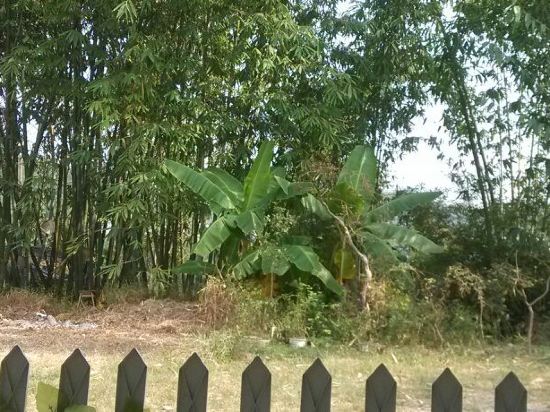 丹霞山香港民宿网上预订,地址,价格,电话查询