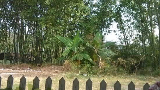 丹霞山香港民宿网上预订,地址,价格,电话查询