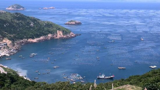 新嵊山海鲜馆_海鲜图片大全_自助海鲜馆平面图(2)