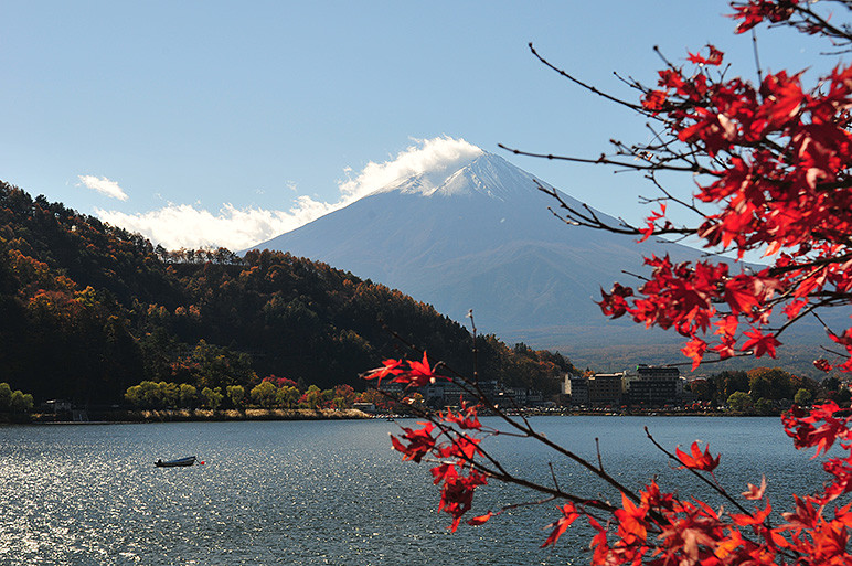 [纯图]红叶的季节——富士山,山中湖,箱根,川崎,京都