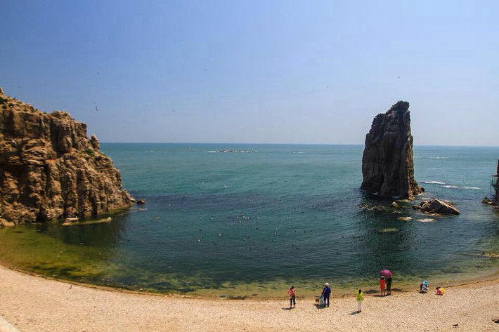 旅行摄影大展#【夏日清爽观鸟—威海西霞口海驴岛】