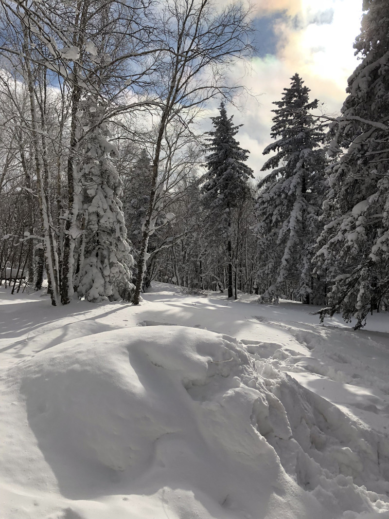 你想不想堆个雪人简谱_宝宝幼儿园 你想不想堆个雪人