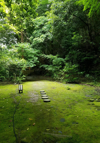 日本自由行(京都-奈良-大阪)1