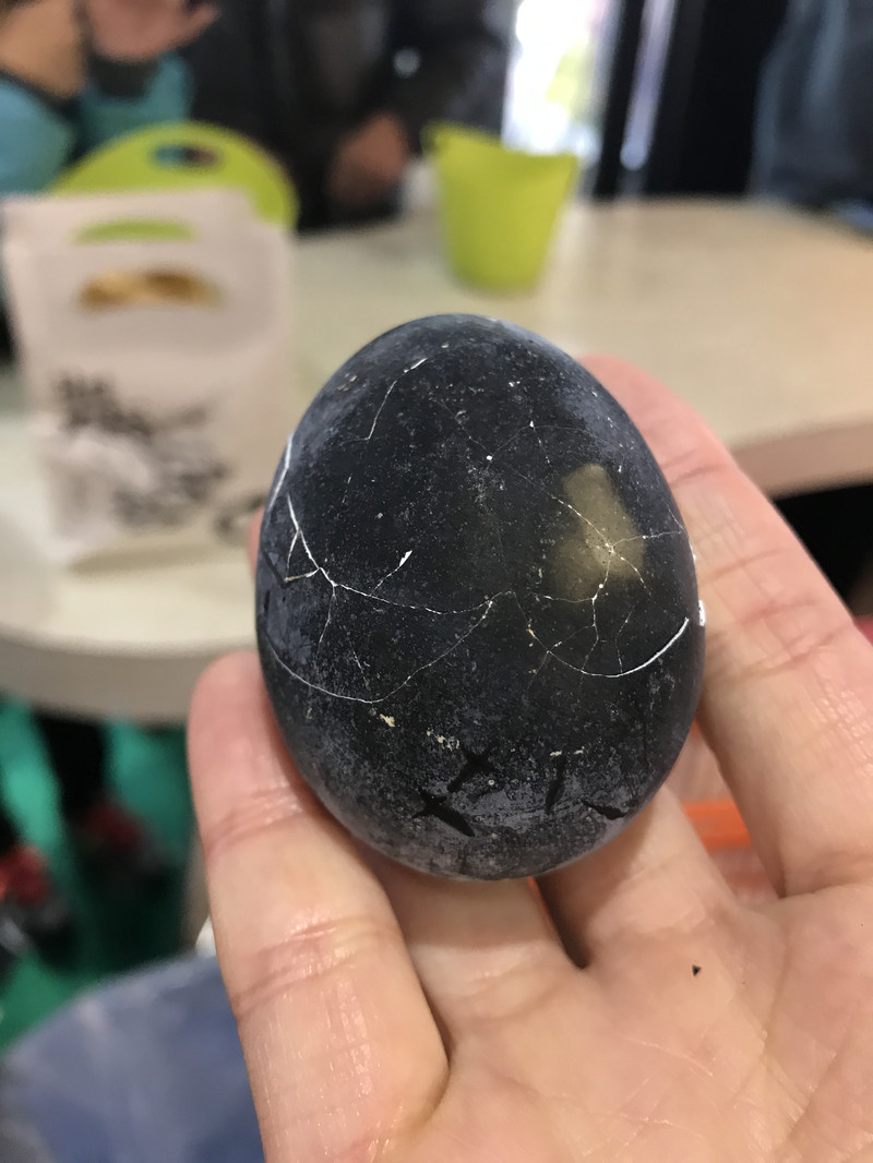 东京、箱根、京都、奈良、大阪,初见日本---从