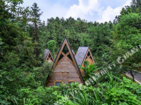 自由家树屋世界