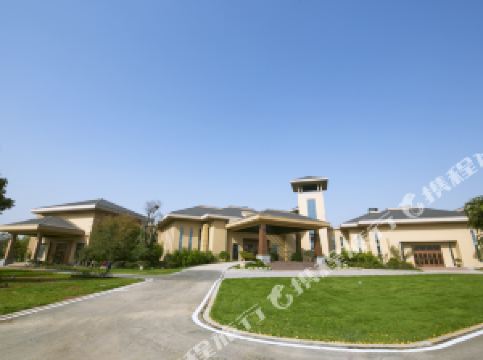 平阴排名_平阴玫瑰(3)