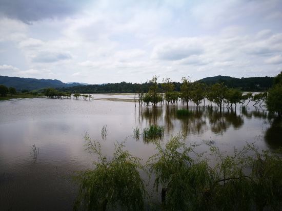 会泽蔓海大酒店