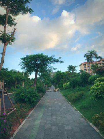 月天韭组成在一起是什么字