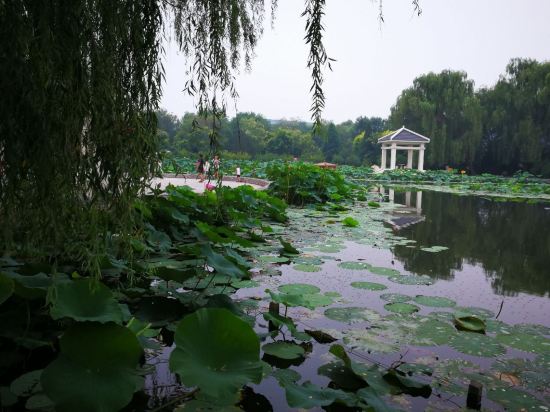 乐亭双麟大酒店电话图片