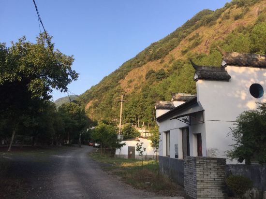 武义青枫谷山庄