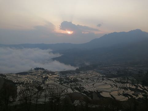 红河州元阳2020年GDP_元阳梯田