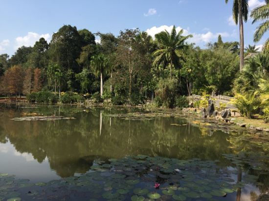 西双版纳王莲酒店