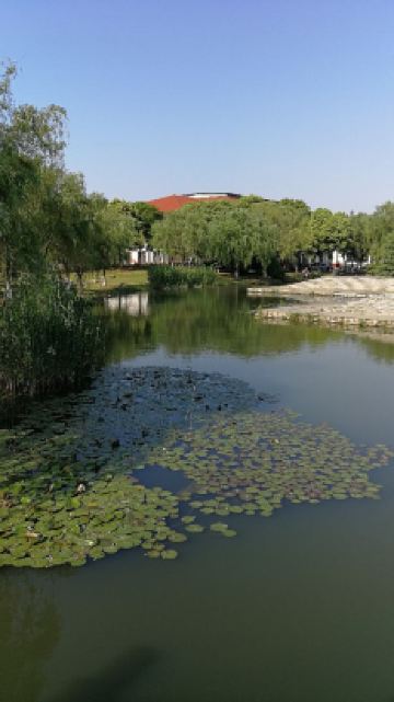 无锡长广溪宾馆