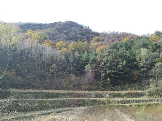 怎么去山里 230r09000000487yj7380_W_550_412.jpg