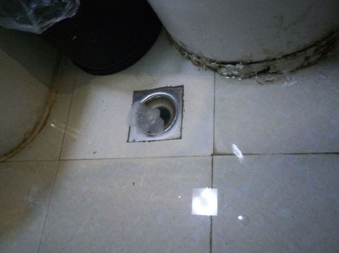 真的差评,没有想过一辈子会住上这么差的房间,记得,洗个澡,下水道水漫