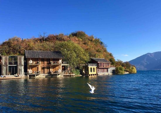 瀘沽湖裡格半島陽光會所預訂價格,聯繫電話\位置地址【攜程酒店】